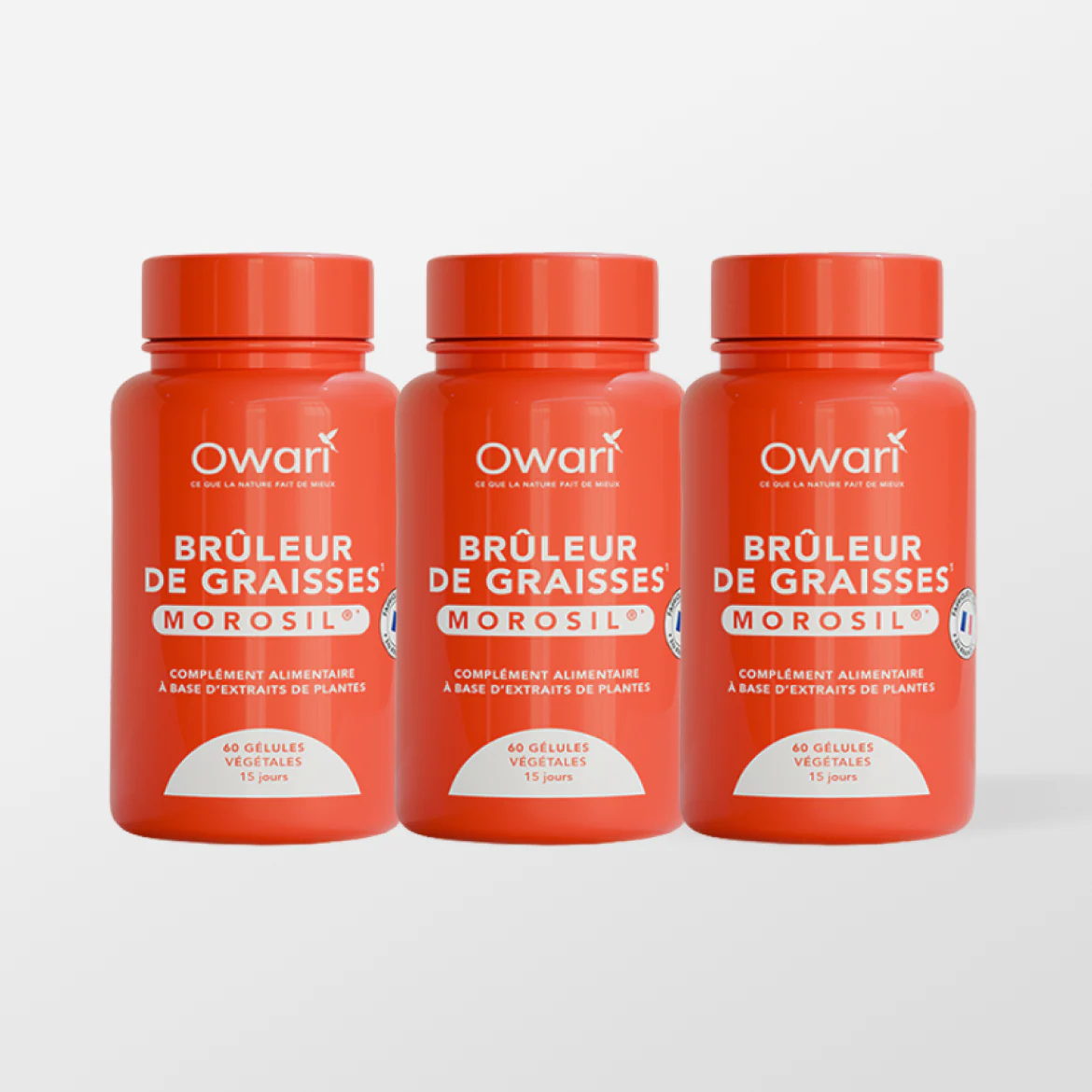 Brûleur de graisses Morosil® - Image 3