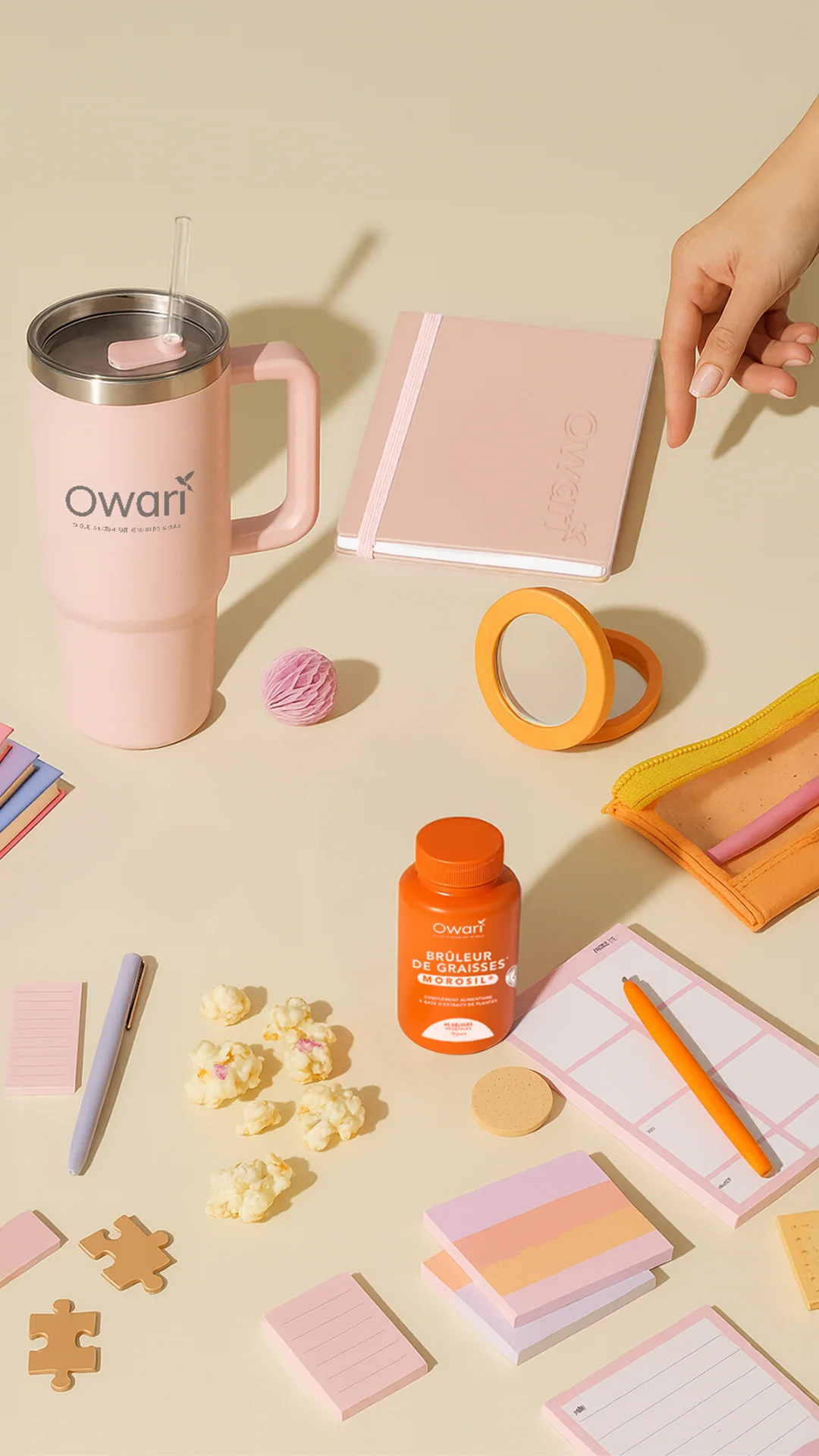 Carnet - Back to school - Image 6