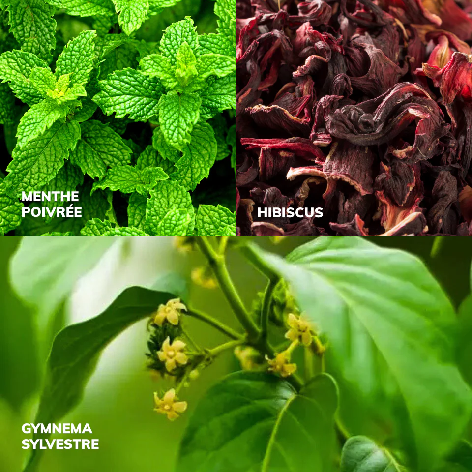 Stop sucre infusion - Image 4